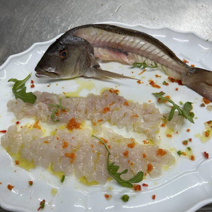 Carpaccio of Dentex